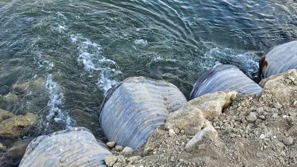 (사진 구성회 씨 제공)/뉴스펭귄