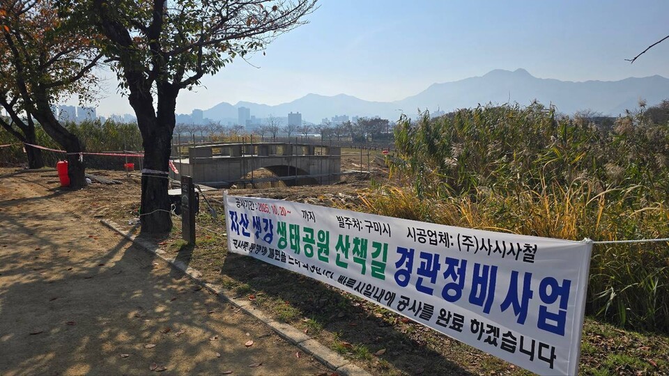 (사진 제보자 제공)/뉴스펭귄