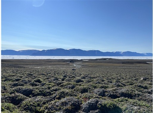 극지연구소가 지구 최북단 북위 82도에서 급격히 진행 중인 녹화 현상을 확인했다. 사진은 시리우스 파셋 전경. (사진 극지연구소)