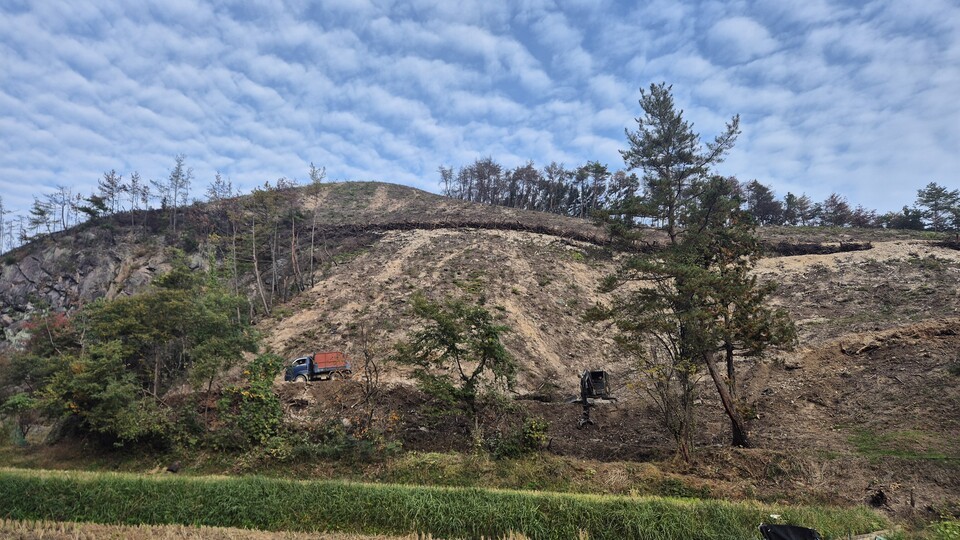 최근 울주군 귀지못 인근 산불 피해지 절벽에서 '긴급벌채사업'이 진행 중이다. 이곳에서는 지난 6월 수리부엉이가 화마 흔적에서 발견됐다. (사진 짹짹휴게소 제공)/뉴스펭귄