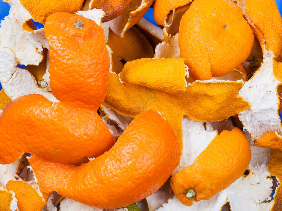 해마다 5~7만 톤 버려지던 감귤 부산물이 친환경 농업 자재와 고부가가치 산업 소재로 부활하고 있다. (사진 클립아트코리아)/뉴스펭귄