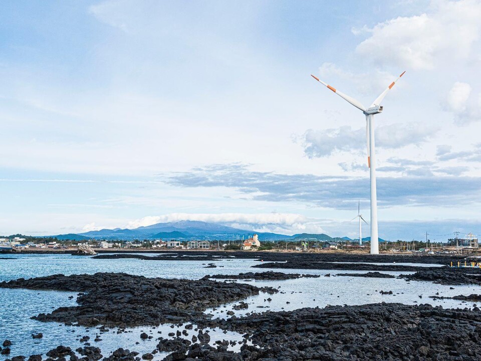 연안 해상풍력발전의 소리는 남방큰돌고래의 개체수 감소로 이어질 수 있다. (사진 제주관광공사 제주도 신창풍차해안도로 해상풍력단지)/뉴스펭귄