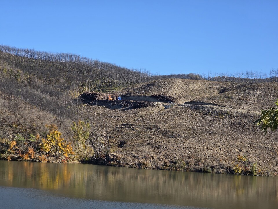 고운사 인근 점곡면 점곡저수지에서 촬영한 벌목 현장. (사진 그린피스 제공)/뉴스펭귄