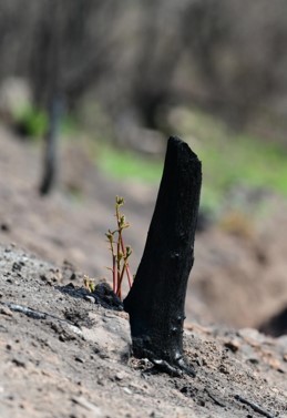 (사진 강기원)/뉴스펭귄