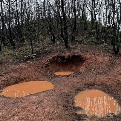 그루터기가 탄 자리에 생긴 구멍. 이 구멍에 물이 생기면서 멧돼지 등 야생동물 진흙 목욕탕 역할을 한다. (사진 서울환경연합 최진우 전문위원 제공)/뉴스펭귄