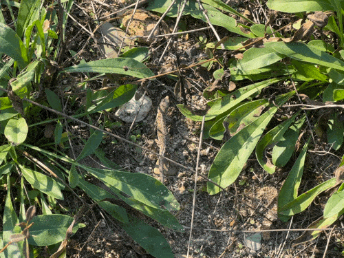 (영상 우다영 기자)/뉴스펭귄