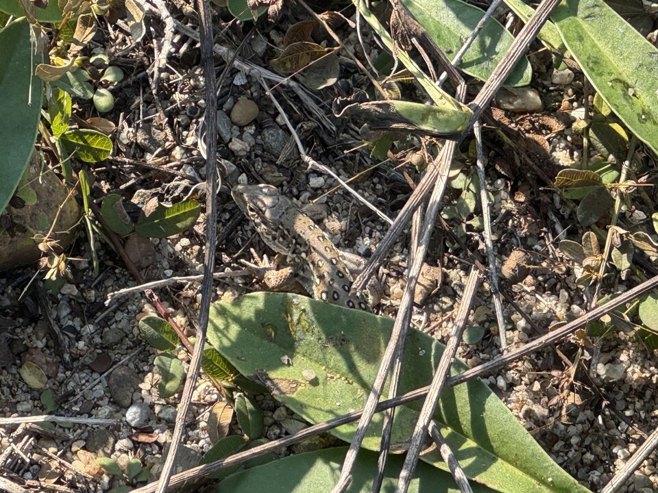 (사진 우다영 기자)/뉴스펭귄