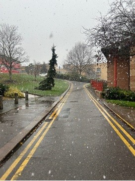 지난 11월 19일, 이례적으로 이른 눈보라가 내렸던 잉글랜드 남부 지역의 모습. (사진 최지윤 펭윙스)/뉴스펭귄