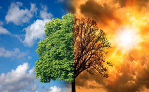 [박치현의 기후과학] 2025년 한반도 폭염 리포트: 기후위기 시대의 경고장