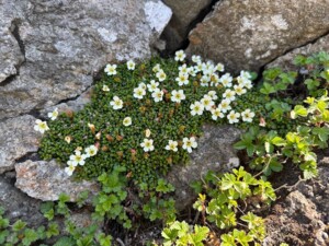 "생태관광 그린워싱 '한 끗' 차이...보전이 최우선"