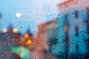 [박치현의 기후과학] “기후위기와 한국의 가을...사라지는 계절의 초상”